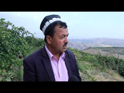 Видео: Ангур дар Хонакохи Кухи Хисор