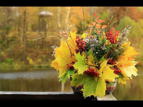 Видео: 2053- ✨ВЛОГ- Осень🍁🍂🍁/Вышла на улицу/Покупки...😊/от 11 октября 2025г.