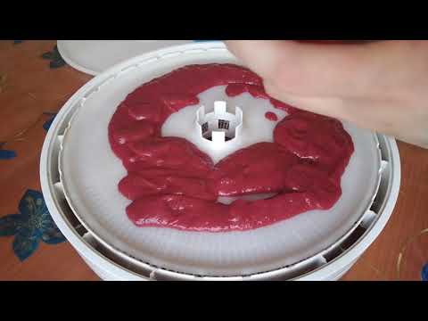 Видео: РАСКРОЮ ВСЕ СЕКРЕТЫ ПРИГОТОВЛЕНИЯ  ФРУКТОВОЙ ПАСТИЛы