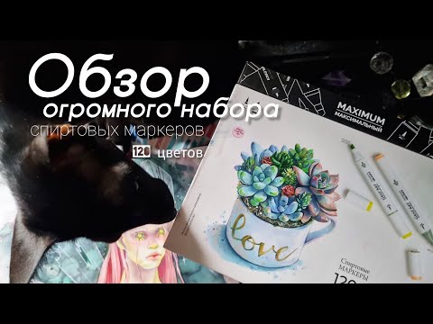 Видео: Обзор большого набора маркеров от Малевичъ || sokolovagallery 