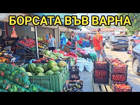 Видео: Плод - зеленчуковата  борса на Варна м. септември 2023г. Много и качествена стока на добри цени!