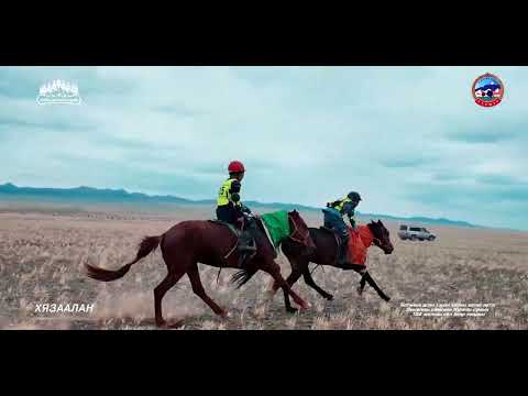 Видео: Хязаалангийн уралдаан
