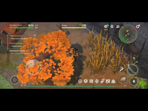 Видео: Зачистил некоторые локации | убил слепого охотника, рейд базы выжившего.