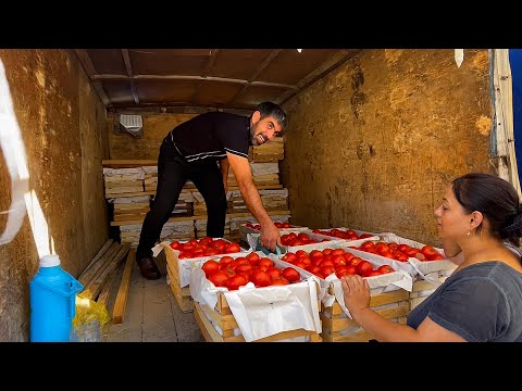 Видео: Как Приготовить Соус Для Пиццы, Кетчуп и Томатную Пасту на Зиму