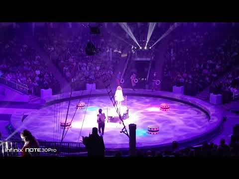 Видео: Цирк Саратов девочка и слон часть 1 