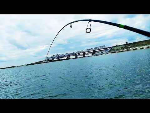 Видео: ПОШЛА ЖАРА! СУДАК ПОПЁР!) РЫБАЛКА НА ДОНУ 2021