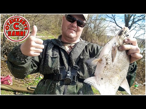 Видео: РЫБАЛКА НА СВИЯГЕ - изысканное удовольствие как днем, так и ночью.