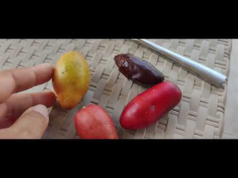 Видео: Фурми / Dates
