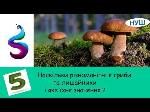 Видео: Наскільки різноманітні є гриби та лишайники і яке їхнє значення ?