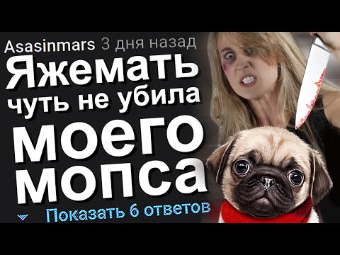 Видео: ЯЖЕМАТЬ ЧУТЬ НЕ УБИЛА МОЕГО МОПСА. ЯЖЕМАТЬ ИСТОРИИ.