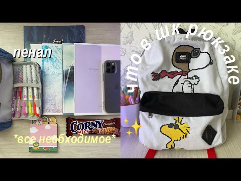 Видео: Собираю Рюкзак И Пенал В Школу // BACK TO SCHOOL // Что в моём школьном рюкзаке?