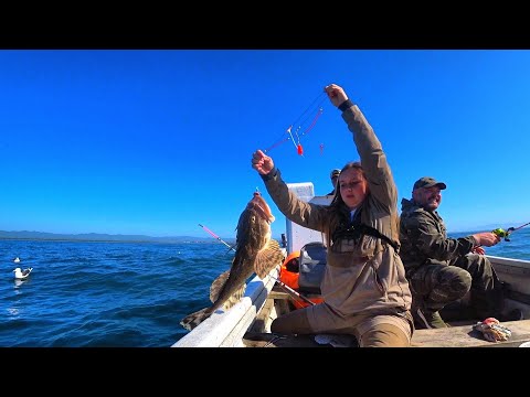 Видео: КАК РЫБАЧАТ НА САХАЛИНЕ! ЛОВЛЮ КАМБАЛУ,СЕЛЕДКУ! РЫБАЛКА В МОРЕ