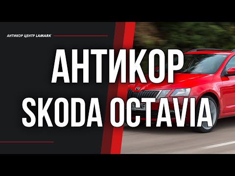 Видео: Антикоррозийная обработка Skoda Octavia