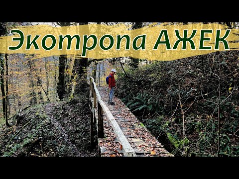 Видео: Лучшая экотропа в Сочи. Ажек.