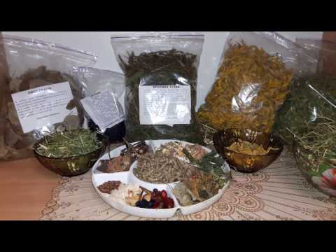 Видео: Вкусный Корм Полный Рацион с Добавлением Сена! Все Что Нужно Шиншиллкам для Еды