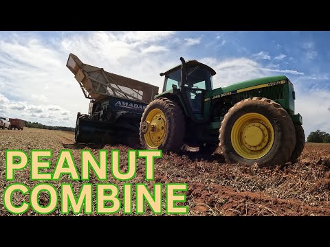 Видео: Арахисовые комбайны ОБЪЯСНЕНЫ