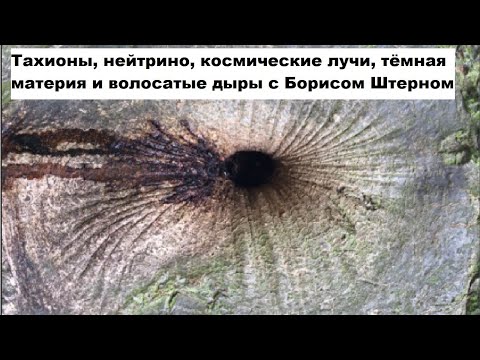Видео: (Борис Штерн) Тахионы, нейтрино, космические лучи, тёмная материя и волосатые дыры