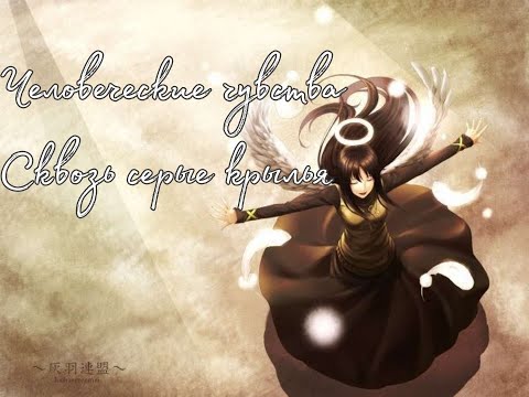 Видео: Союз Серокрылых | Человеческие чувства сквозь серые крылья.