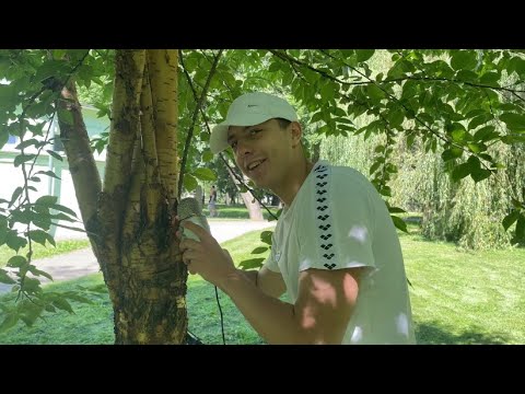 Видео: ДРУГ ВПЕРВЫЕ ПРОБУЕТ АСМР НА ПРИРОДЕ