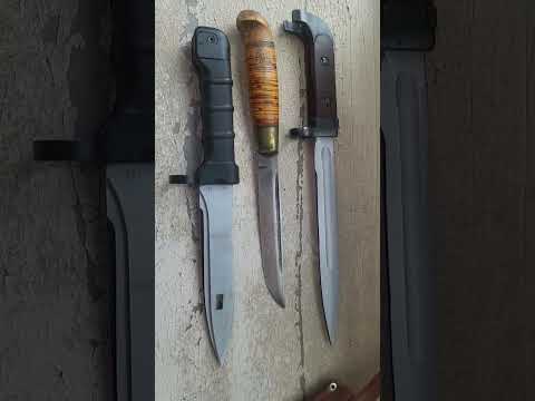 Видео: 8 ноября 2025 г.