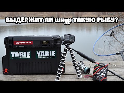 Видео: ВЫДЕРЖИТ ЛИ шнур ТАКУЮ РЫБУ? Первый тест шнура Intech Tournament Jig Style X8!