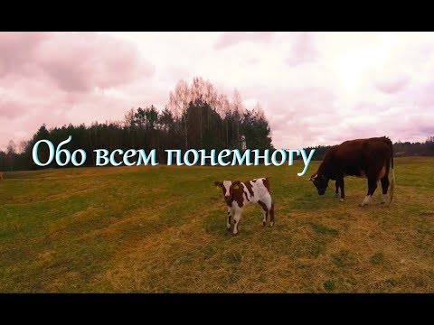 Видео: Деревенские будни. Обо всем понемногу.