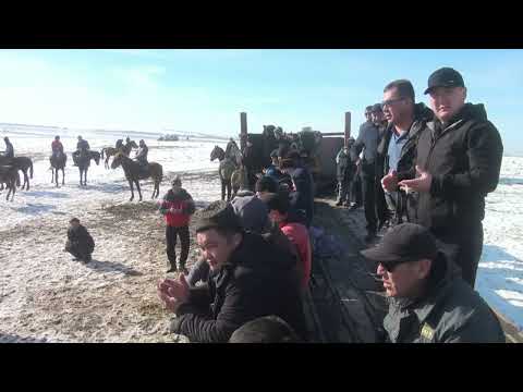 Видео: Маятас атшабарында Әшірбай атаны еске алу көкпары