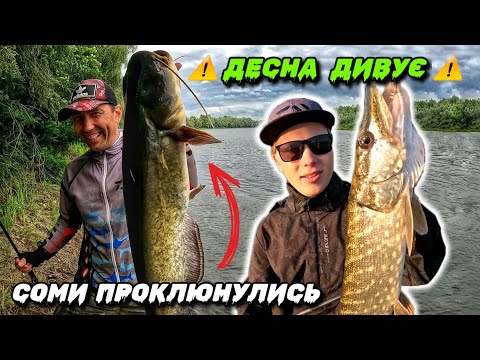 Видео: ОСЬ ЩО ТАКЕ ДЕСНА! Батл по Щукам і Сомам