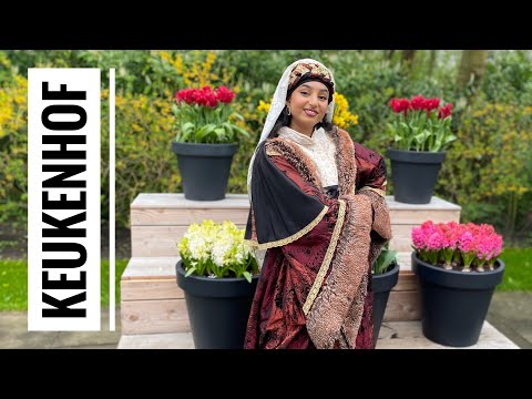 Видео: Keukenhof Gardens 2023 - Парк цветов Кёкенхоф, Нидерланды.