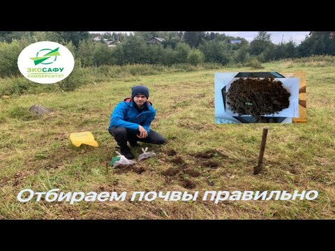 Видео: ПРОБООТБОР ПОЧВ - ОТБИРАЕМ ПОЧВЫ ПРАВИЛЬНО!