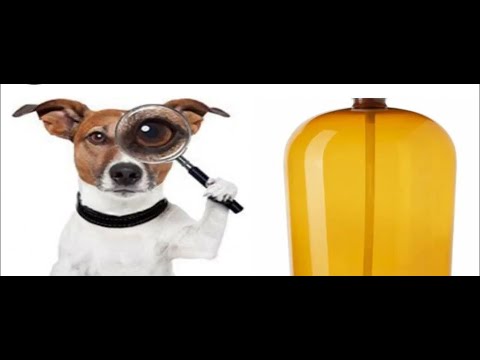 Видео: ✅ЧТО НУЖНО ЗНАТЬ ПЕРЕД ПОКУПКОЙ АККАУНТ В STEAM ДЛЯ НОВИЧКОВ✅