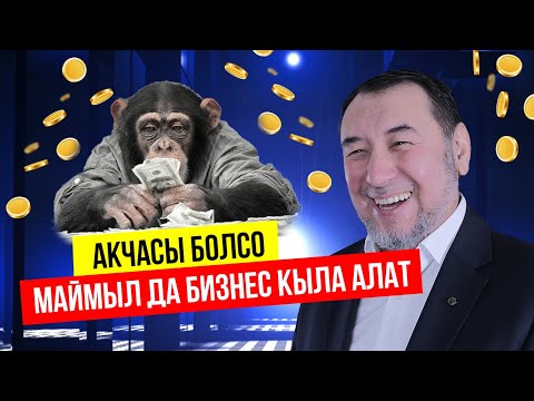 Видео: АКЧАСЫЗ БИЗНЕС БАШТАЙМ ДЕСЕҢ, БУЛ ВИДЕОНУ ТЕЗ КӨР! /МЫКТЫБЕК АРСТАНБЕК