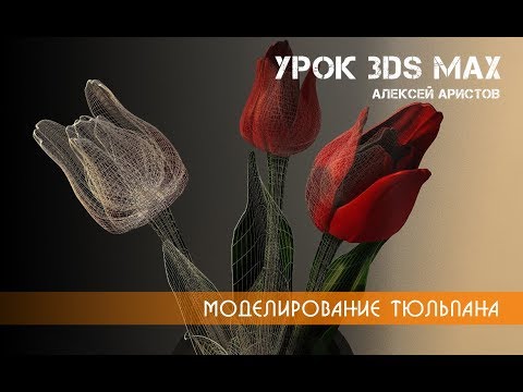 Видео: Урок 3D MAX Аристов. Создание тюльпана
