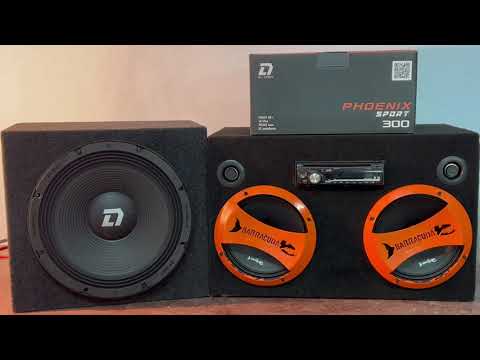 Видео: DL Audio Phoenix Sport 300 (Эстрадный сабвуфер)