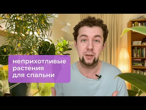Видео: Обзор растений в спальне. 20+ простых в уходе растений