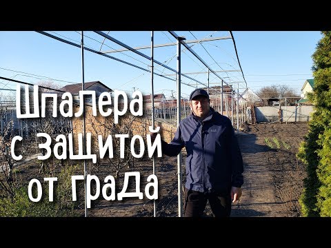 Видео: Виноградная шпалера с защитой от града