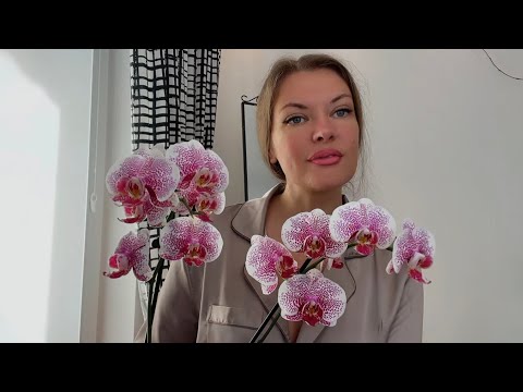 Видео: ОРХИДЕЯ НЕ ЛЮБИТ ЭТО🌸🌿жалею что не узнала об этом раньше!#орхидеи #орхомания #фаленопсис 