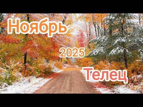 Видео: ТЕЛЕЦ ♉ НОЯБРЬ 2025🍁 Тароскоп 🍁
