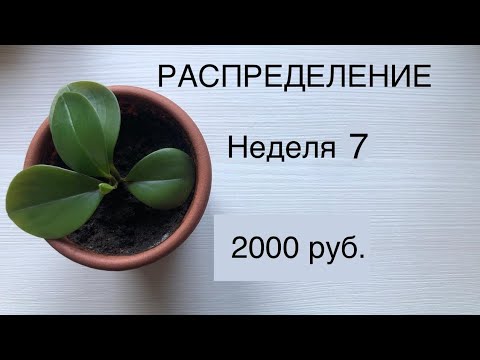 Видео: РАСПРЕДЕЛЕНИЕ ДЕНЕГ ИЗ КОНВЕРТОВ В КОПИЛКУ.НЕДЕЛЯ 7.