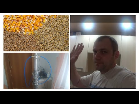 Видео: ОСАХАРИВАЕМ КУКУРУЗУ СОЛОДОМ,ОТ А до Я,ОТЛИЧНЫЙ ВКУСНЫЙ САМОГОНЧИК!