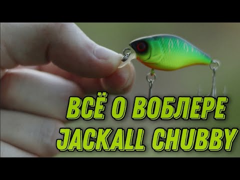 Видео: Всё о легенде ультралайта. Воблер Jackall Chubby