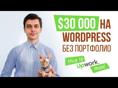 Видео: Заработал больше $30K на WordPress и Upwork | Интервью с фрилансером