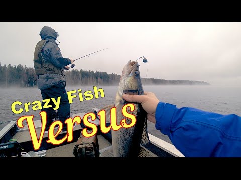 Видео: Crazy Fish VERSUS - Рыбалка на спиннинг 2021 года. Первые впечатления