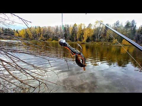 Видео: О ТАКОЙ РЫБАЛКЕ МЕЧТАЮТ МНОГИЕ...