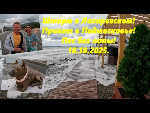 Видео: Шторм в Лазаревском! Привет в Подмосковье а пес без лапы! Лазаревское 10.10.2025.