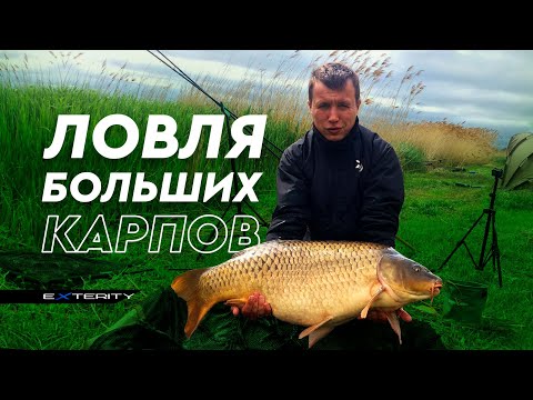 Видео: Ловя крупного карпа осенью на флэт фидер.