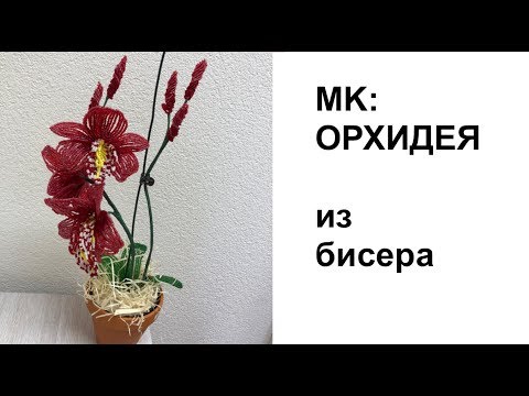 Видео: ОРХИДЕЯ ЦИМБИДИУМ из бисера. Tutorial: BEADED ORCHID | PATTERN