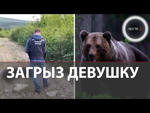 Видео: Медведь загрыз девушку в Магадане | Её подруге удалось спастись