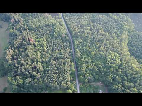 Видео: Курчиця