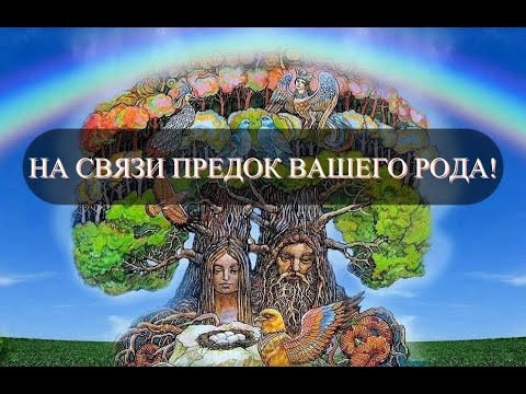 Видео: ВАЖНО! НА СВЯЗИ ПРЕДОК ВАШЕГО РОДА!   #предоквашегороданасвязи#предокродавещает#важнаяинформация